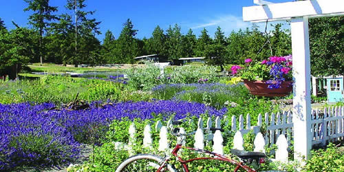 法国留学生打工可以获得多少薪水