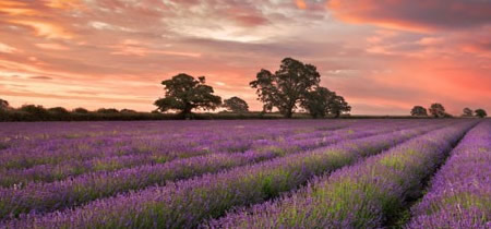 英国留学读研所需费用自己掌握