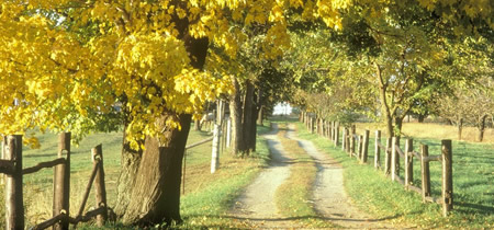 在加拿大留学生活怎样购票