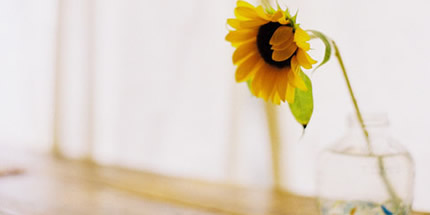 在澳洲留学如何才能做到不挂科