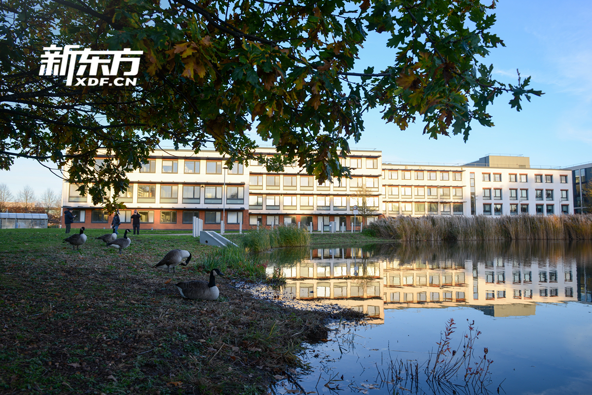 周成刚在路上：探访华威、剑桥、曼彻斯特，解锁英伦教育的传承与新生