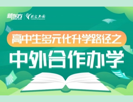 高中生多元化录取梦校路径之中外合作办学