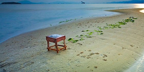 美国留学海归就业前景介绍