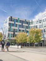 谢菲尔德大学