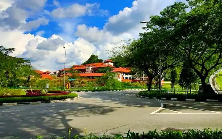 留学圈未解之谜：为什么新加坡的鸽子比我还清楚食堂时间表？