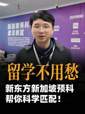 260105|新加坡预科高性价比选