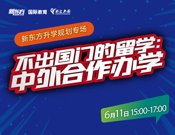 不出国门的留学：中外合作办学