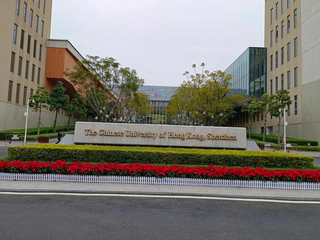 港中大 VS 港中深：同宗院校的 “双城差异” 大揭秘