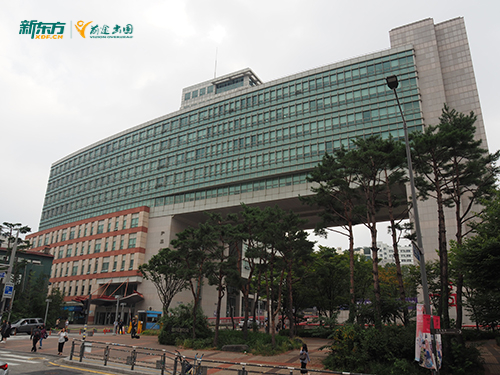 梨泰院商圈租房避坑指南：韩国留学生住宿区域安全指数测评