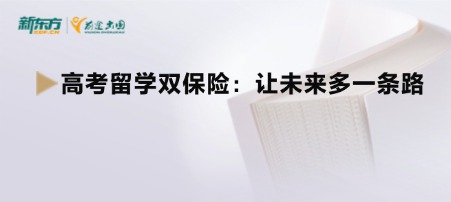 高考留学双保险：让未来多一条路