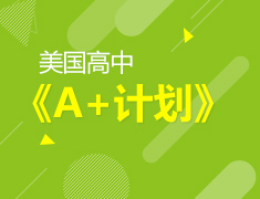 vip咨询《美高A+计划》