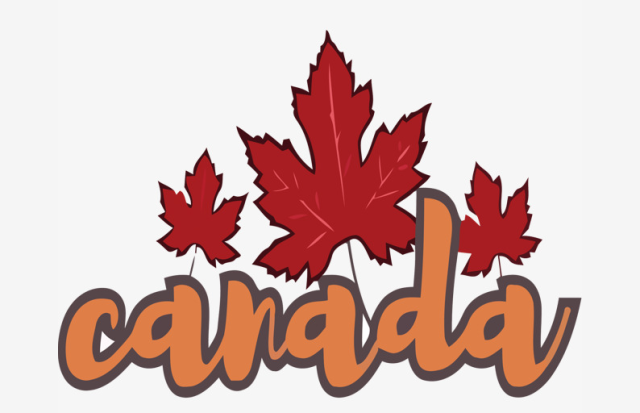 7.15 北美私立精英模拟课堂