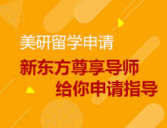 新东方尊享导师给你申请指导