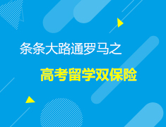 条条大路通罗马之高考留学双保险