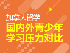 8月23日|国内外青少年学习压力对比