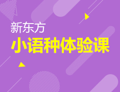 1.13|小语种0元试听课