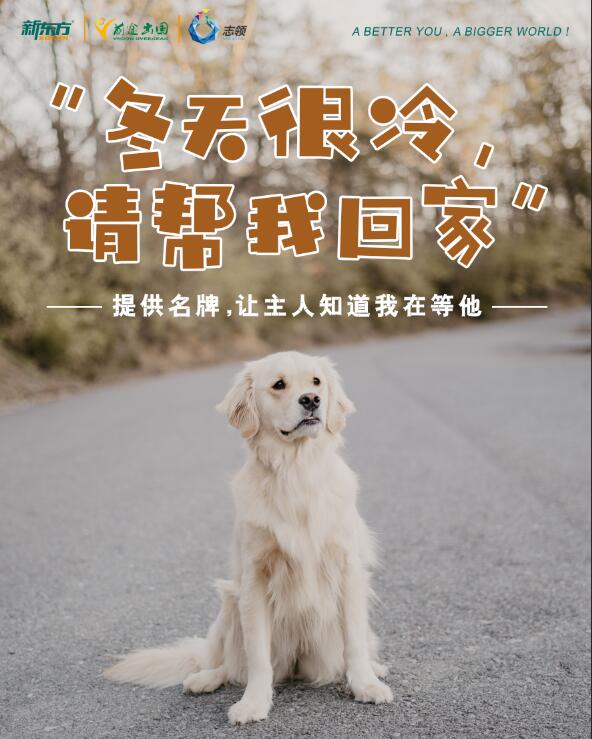 志领活动-冬天很冷帮我回家