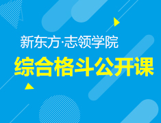 4.21丨综合格斗公开课：零距离体验UFC