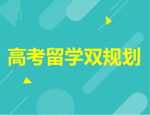 高考留学双规划