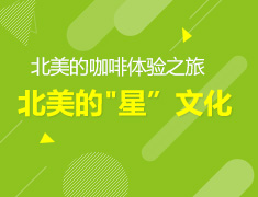 8月7日 14:00 北美的