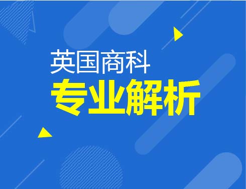 英国商业专业解析