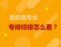 12.17|选校选专业，专排综排怎么看？