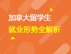 留学生就业形势全解析