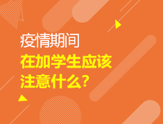 【中学-大学】疫情期间加拿大留学生应该要注意什么？