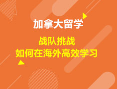 加拿大|战队挑战——如何在海外高效学习