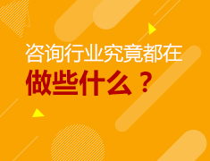 5.20美研|咨询行业究竟都在做些什么？