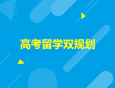 高考留学双规划
