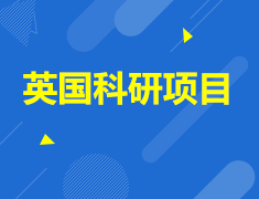 跟着牛津剑桥导师做项目，发论文