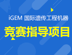 英国工程机器竞赛指导项目
