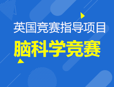 英国脑科学竞赛指导项目