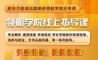 新东方美研领航学院线上指导课