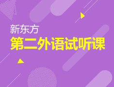 11.28|新东方第二外语试听课
