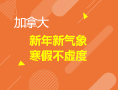 新年新气象 寒假不虚度