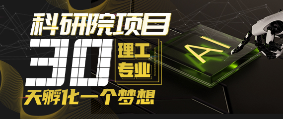 就业力理工专业科研院项目