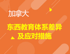 东西教育体系差异及应对措施