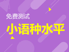 日韩德法西意小语种水平测试