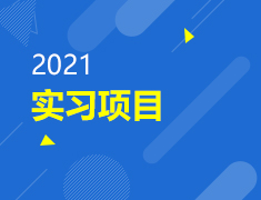 【文科商科】实习项目
