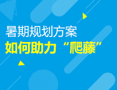 暑期规划方案，助力“爬藤”