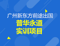 广州普华永道实训项目