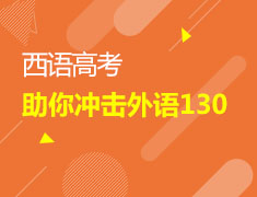 5/13 西语高考冲击外语