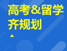 为什么要高考留学齐规划？