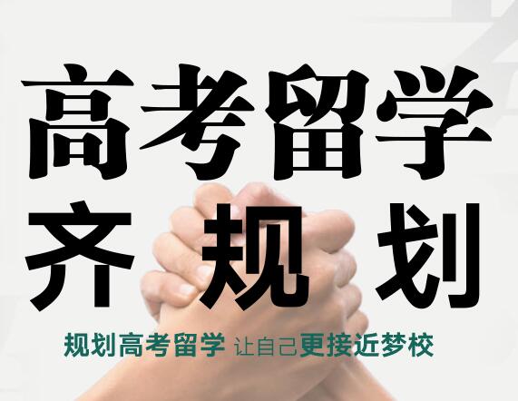 坦途不止一条，高考留学齐规划