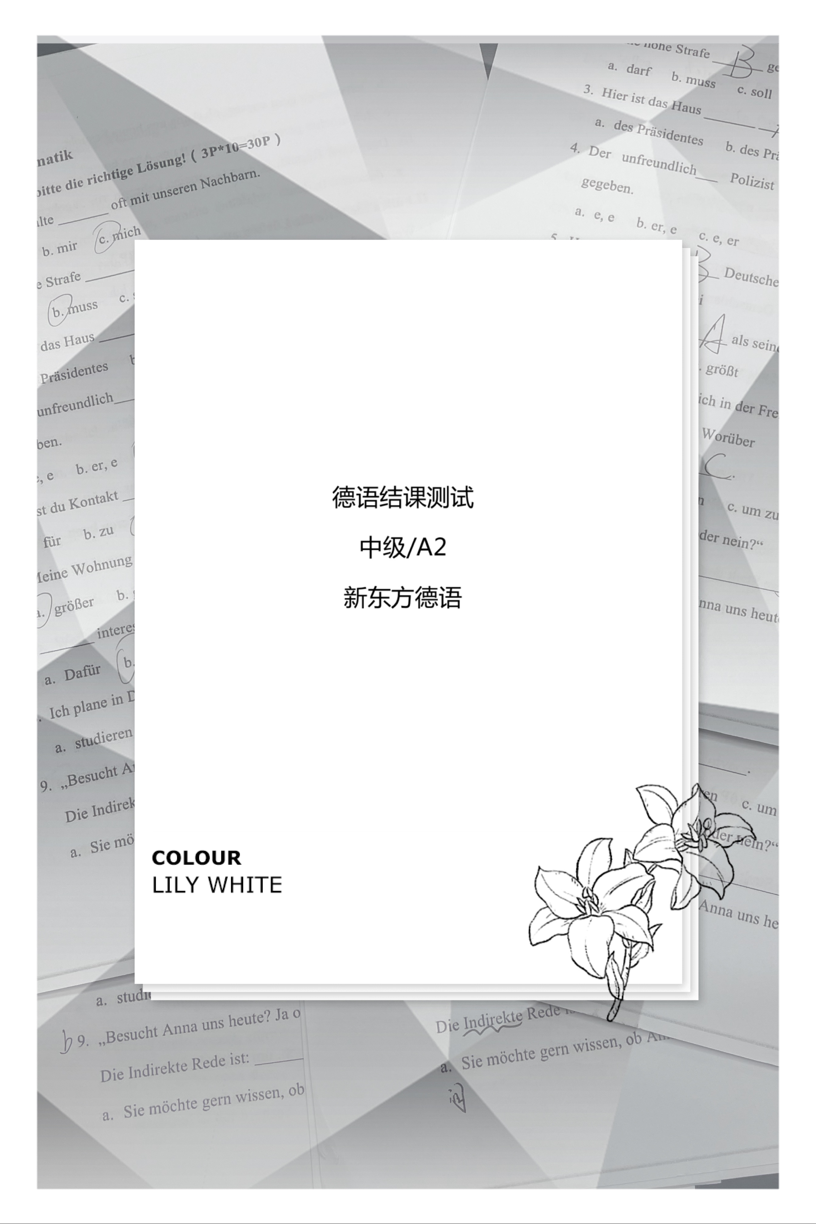 个人荣誉证书