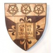 多明尼克大学