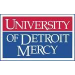 底特律大学