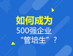 如何成为500强企业“管培生”